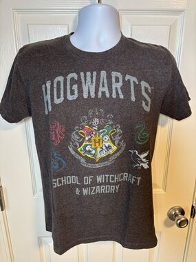 Harry Potter Hogwarts School of Witchcraft and Wizardry grey t-shirt Size medium